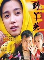 大陆电视剧《野丫头》在线免费观看全集完整版