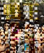 《鸭王1》电视剧粤语在线观看全集高清完整无删减BD国语中字